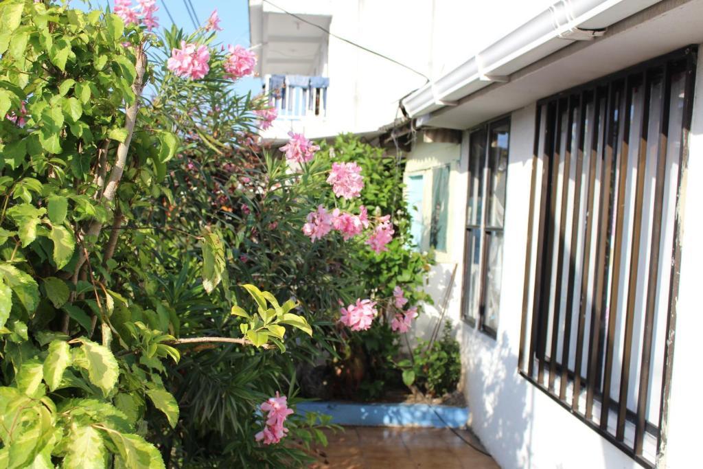 Blue Almond Hostel - San Andres Экстерьер фото